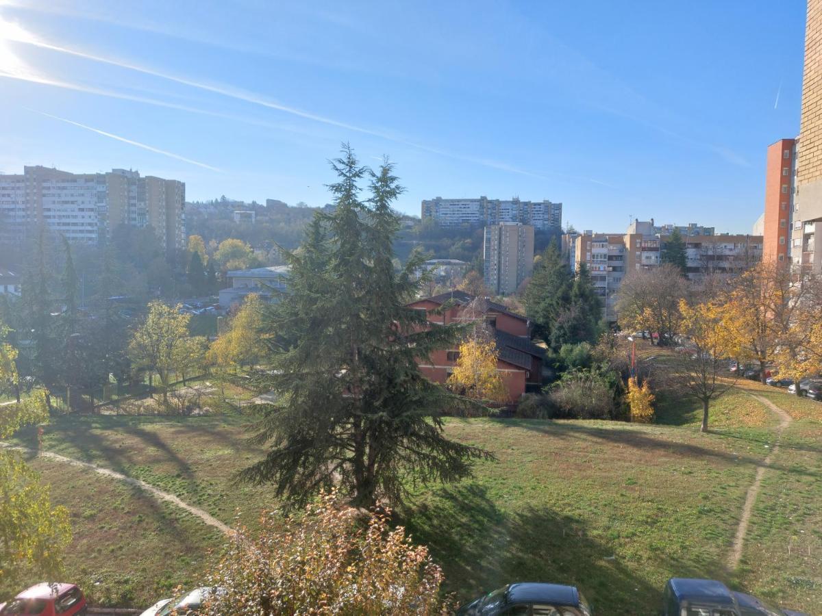 Apartman 22 Belgrad Exteriör bild